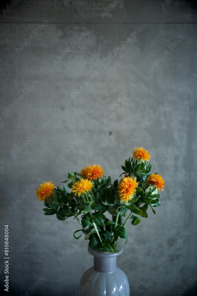 custom made wallpaper toronto digital紅花の花