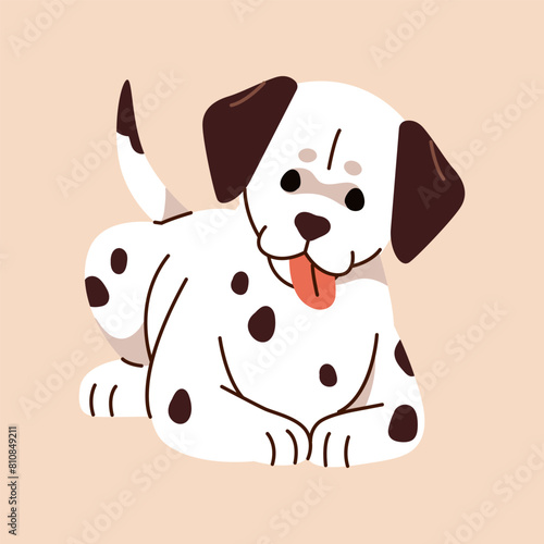 Cute little dalmatian lying and shows tongue. Happy spotted doggy relax. Amusing puppy with black spots on white coat. Small pup of firehouse dog, friendly pet rests. Flat isolated vector illustration