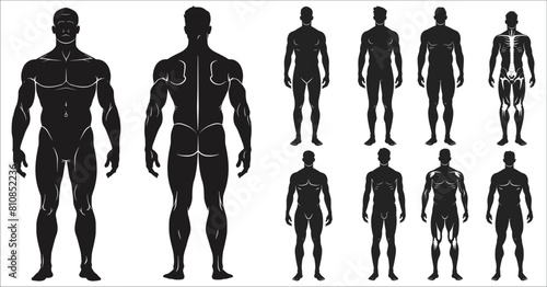 Male human body silhouettes, Human body silhouette, Man front and side view, Human body anatomy silhouettes, Men silhouette front and back side, Human, Silhouette, Body, Anatomy, Figure, Adult, Male