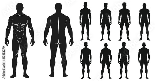Male human body silhouettes, Human body silhouette, Man front and side view, Human body anatomy silhouettes, Men silhouette front and back side, Human, Silhouette, Body, Anatomy, Figure, Adult, Male