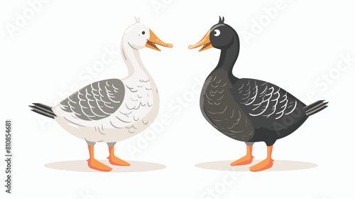 Adorable goose and duck isolated on white background.
