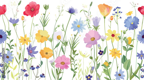 Botanical seamless pattern with wild blooming flowers