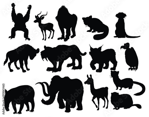 Collection of different animal silhouettes in black