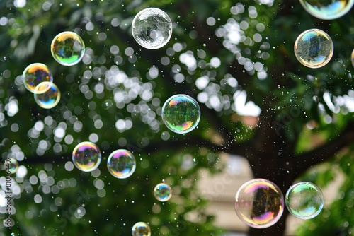 Large soap bubbles froze in the air. Giant tree on a blurred background. Children s games in nature. Ideal image for advertising children s products  holiday events or entertainment programs. Banner