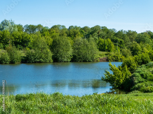 lake in the forest