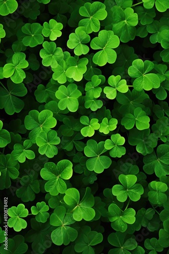 A close up of green clovers with a green background. The clovers are all different sizes and are spread out across the image