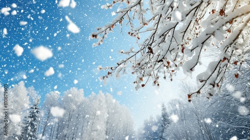 A snowy landscape with a tree covered in snow. The sky is blue and the snow is falling