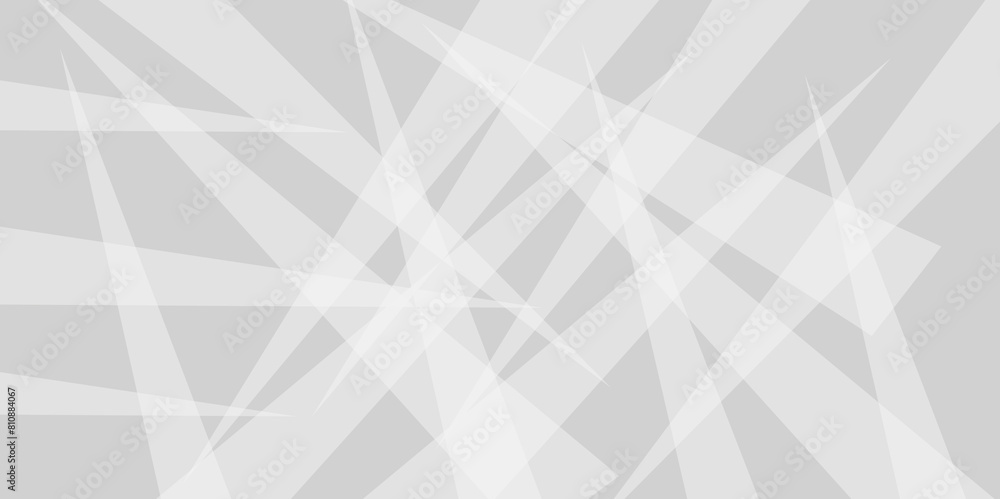 Fototapeta premium Abstract geometric background corner with lines. Gray and white texture background. White paper polygonal triangle background. Layered geometric triangle shapes.