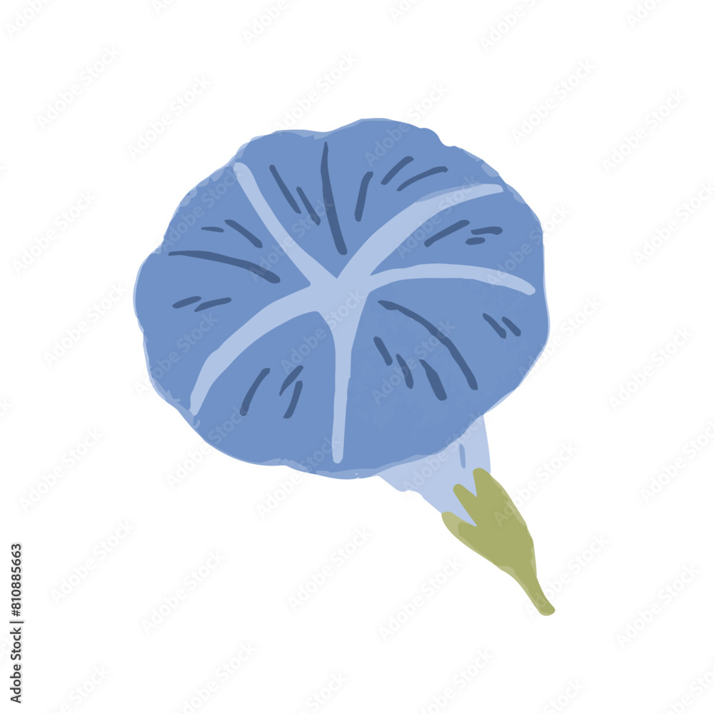 朝顔 お花 手書き風 イラスト 朝顔 お花 手書き風 イラスト