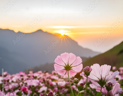 Pink Lotus Blooms Amidst Mountain Landscape