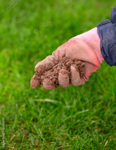 gardener applying sharp horticultural sand on grass lawn organic spring garden job