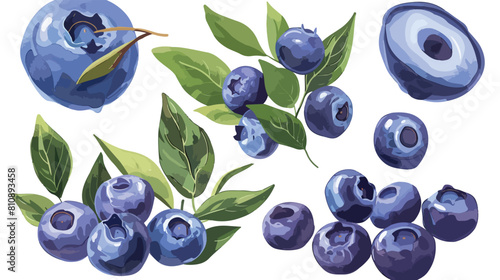 Isolated blueberry fruit with leaves design Vector illustration