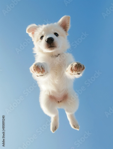Adorable white puppy leaping against a clear blue sky, capturing a moment of pure joy and playful innocence in mid-air - AI generated © Pukan