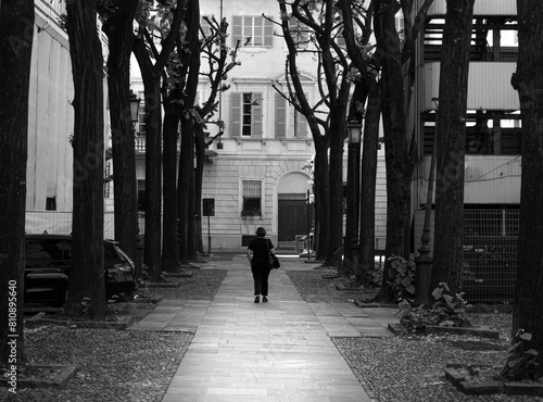Wallpaper Mural Lady walking along a tree-lined avenue Torontodigital.ca