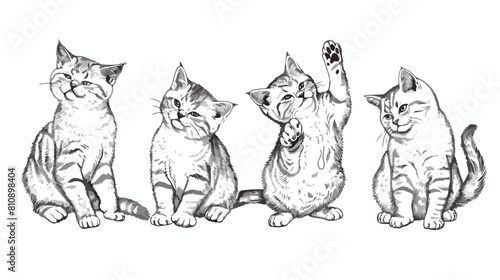 Four of cute funny cats sitting washing stretching