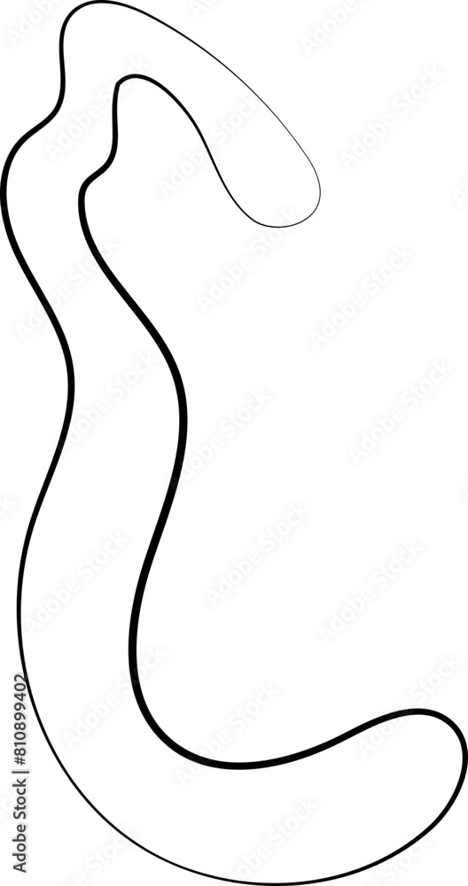 ink outline abstract ink outline abstract