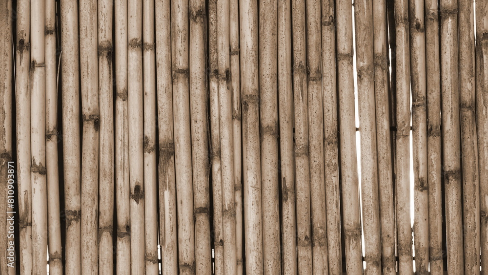 Fototapeta premium Close-Up Sepia Bamboo Sticks Background