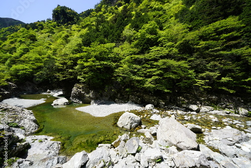 天川村川迫川渓谷の新緑と青空と水の流れ