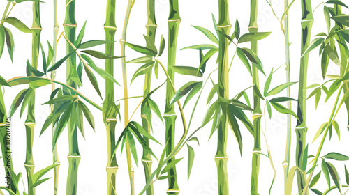 Green bamboo trees. Bamboo stems with leaves on white