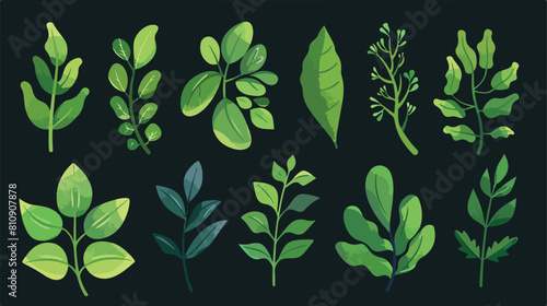 Green fresh foliage. Leaves of different shapes Vector