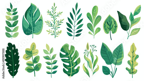 Green fresh foliage. Leaves of different shapes Vector