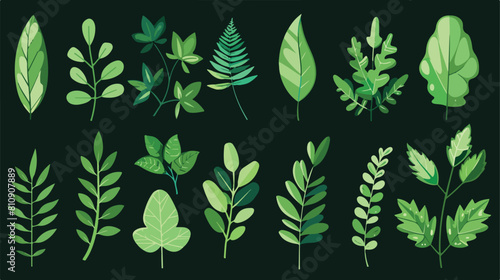 Green fresh foliage. Leaves of different shapes Vector