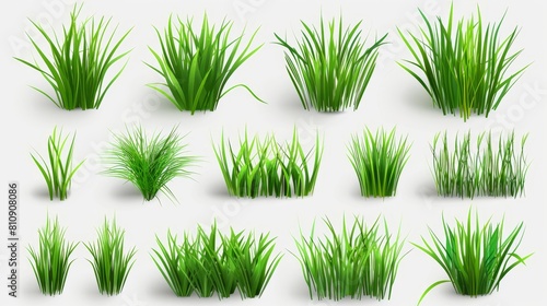An illustration of a realistic set of green grass sprouts isolated against a transparent background. A modern illustration of a lawn plant, garden decoration element, football pitch surface, fresh photo