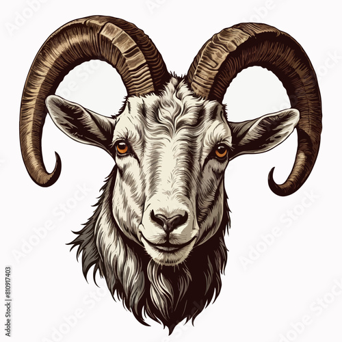 funny vector t-shirt  goat  head design 