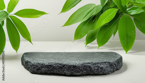 Product stone podium for cosmetic beauty presentation. Stone podium with green leaves  