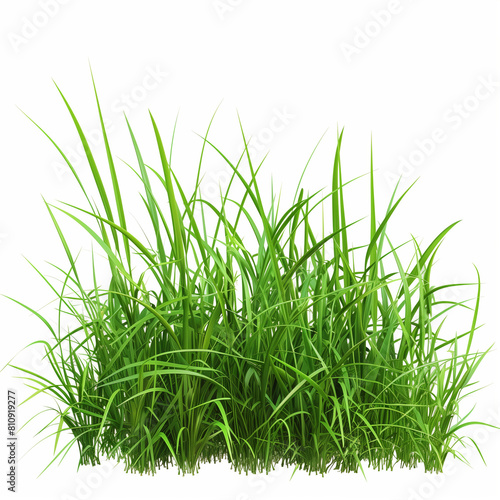 "Clear PNG Now: Fresh Green Grass with Transparent Background, 3D Render, Clean White Backdrop."