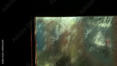 View of frosted window glass with moving shadows from tree branches.