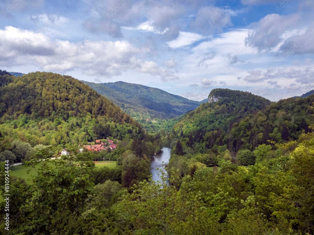 Obraz premium forest