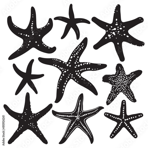 Starfish vector silhouette. Atlantic star animal icon set