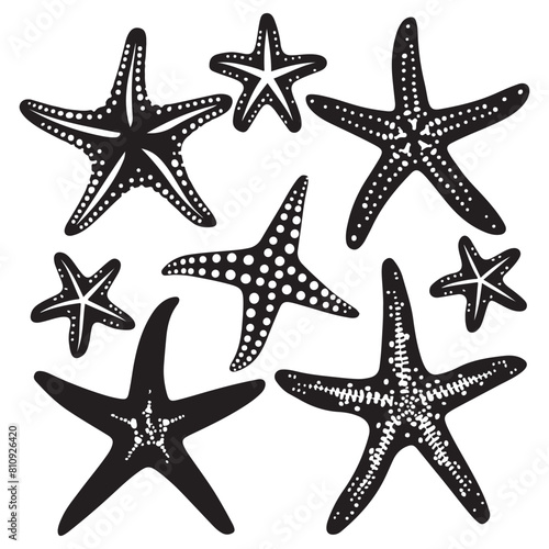 Starfish vector silhouette. Atlantic star animal icon set