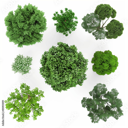  Overhead View  Assorted Green Tree Silhouettes Set  Transparent Backgrounds  3D Render  Clean White Backdrop. 