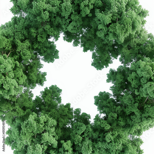  Drone Shot  Lush Forest Canopy Landscape  Transparent Background  3D Render  Clean White Backdrop. 