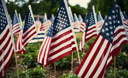 field of American flags, blurred background, freedom memorial flag independence national day
