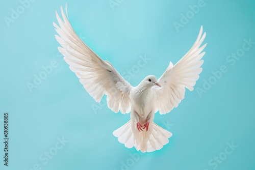 Majestic White Bird Spreading Its Wings