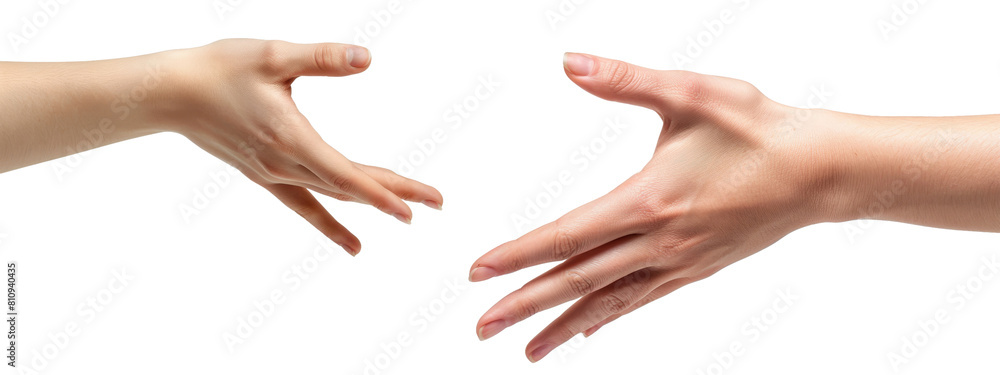 Female hands symbolizing partnership and agreement isolated on white background Female hands symbolizing partnership and agreement isolated on white background