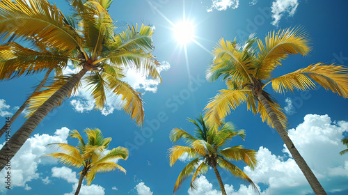 A group of palm trees are in the sun with a blue sky in the background