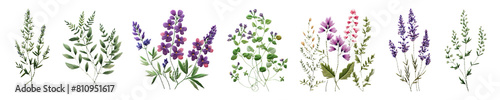 Flower in embroidery png cut out element set
