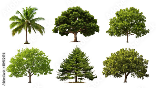 Green tree png cut out element set
