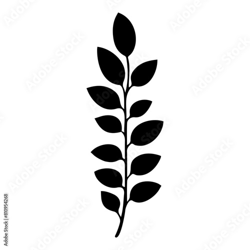 Hand drawn leaf of hawthorn tree. Vector illustration.