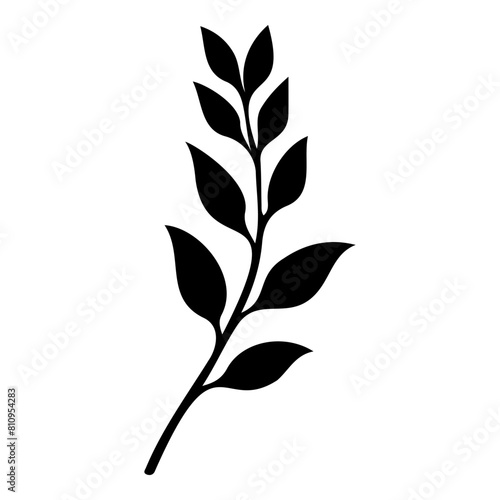 Sketch of ash leaf. Vector illustration. Black and white.