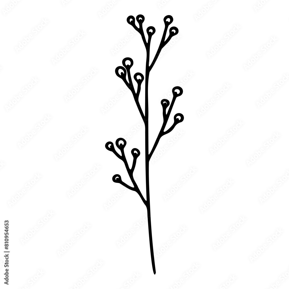 Sketch of silhouette of a branch with a flower. Vector illustration.