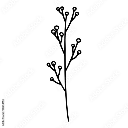 Sketch of silhouette of a branch with a flower. Vector illustration.