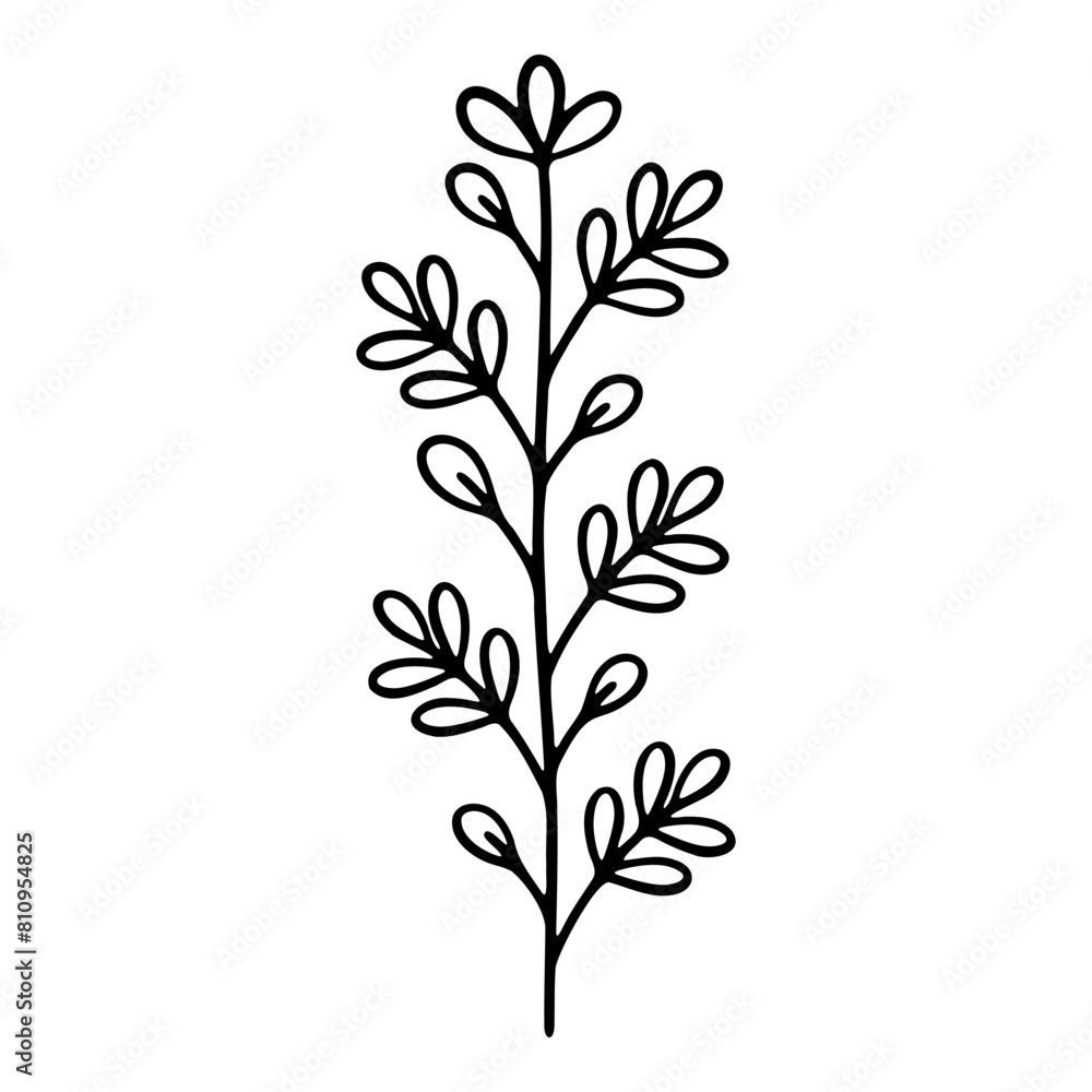 Hand drawn silhouette of phlox flower. Vector illustration. Hand drawn silhouette of phlox flower. Vector illustration.