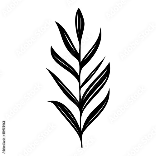 Hand drawn leaf of sycamore tree. Vector illustration.