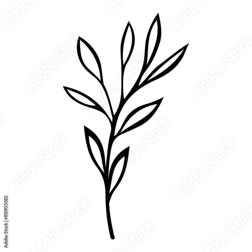 Hand drawn leaf of rhododendron tree. Vector illustration.