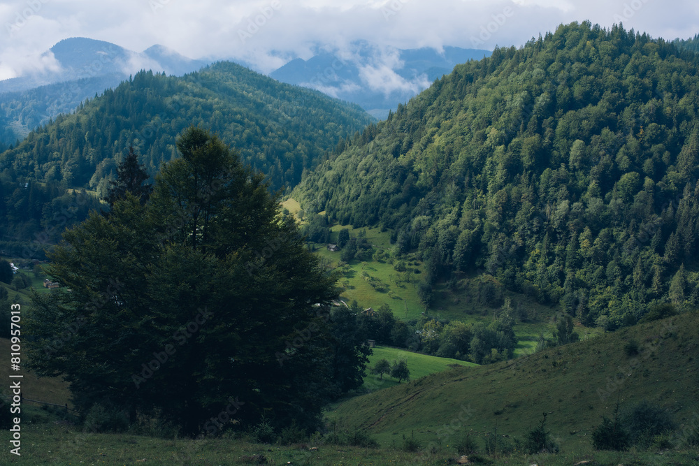 Fototapeta premium The Ukrainian Carpathians are part of the Eastern Carpathian mountain